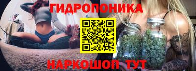 молекула духа Лесосибирск