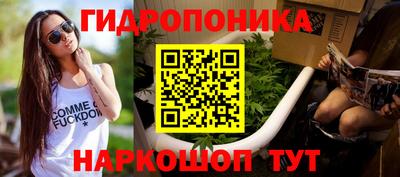 молекула духа Лесосибирск
