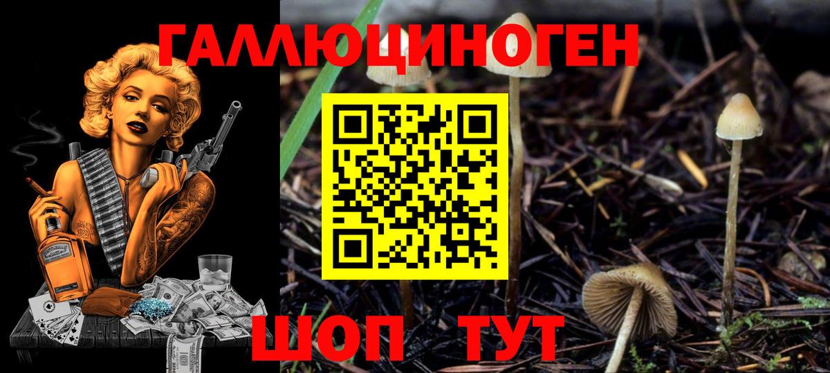 закладки  Галлюциногенные грибы Cubensis  Вход с VPN  Туймазы 
